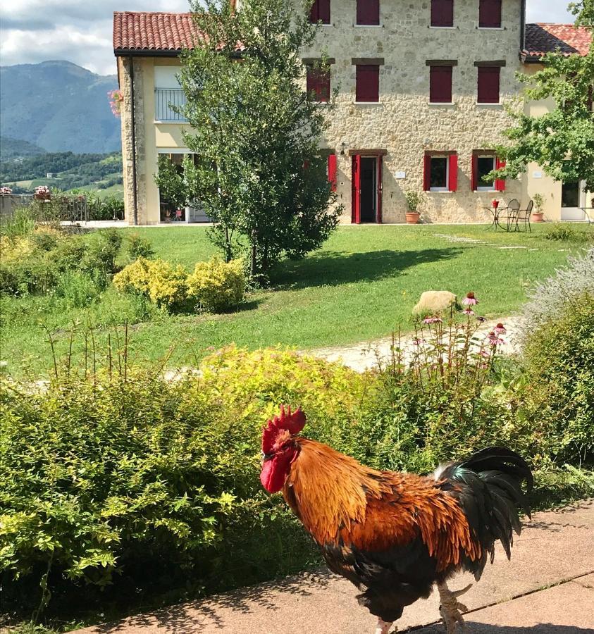 Agriturismo Lemire Bed & Breakfast San Pietro Di Feletto Exterior photo